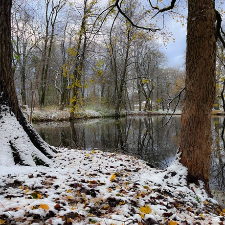 Zima 2023. Pierwszy śnieg w Rzeszowie [Park im. Szafera] - fot 8